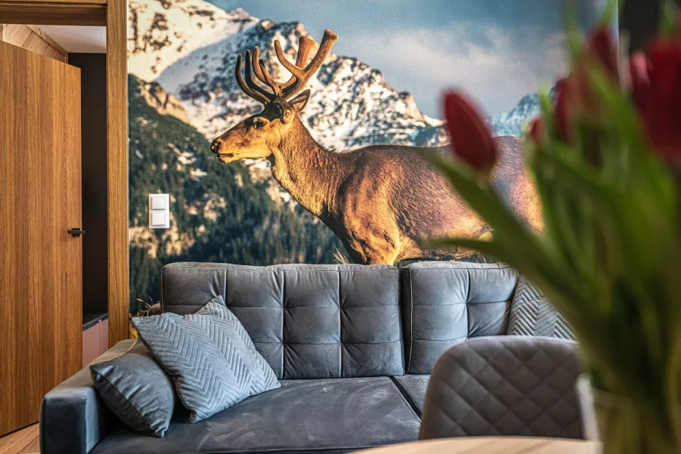 Apartament typu deluxe z dwoma sypialniami i balkonem nr.1