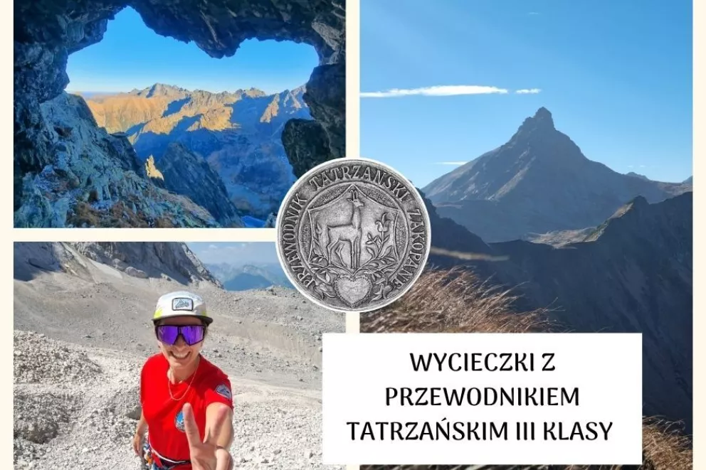 oferty specjalne